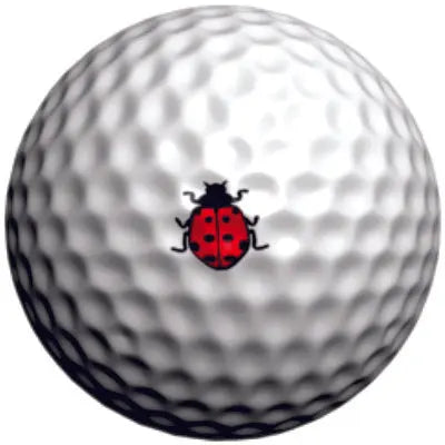 GOLFDOTZ GOLFDOTZ