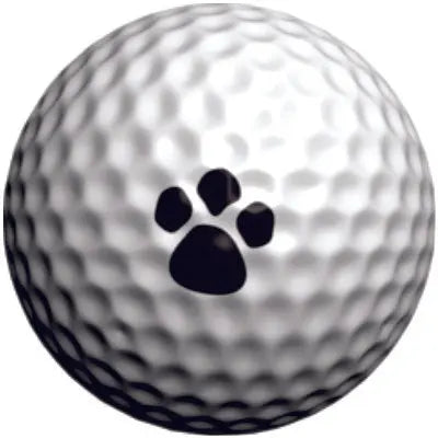 GOLFDOTZ GOLFDOTZ